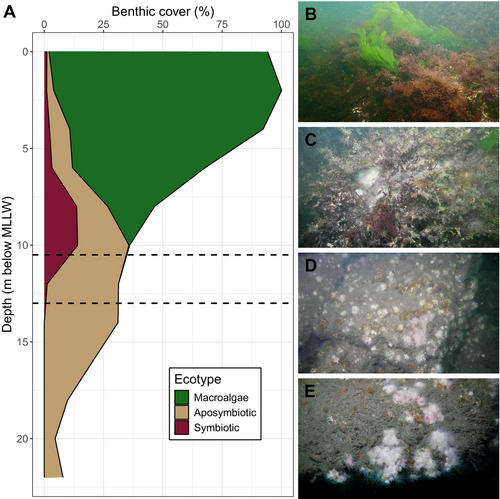 Details are in the caption following the image