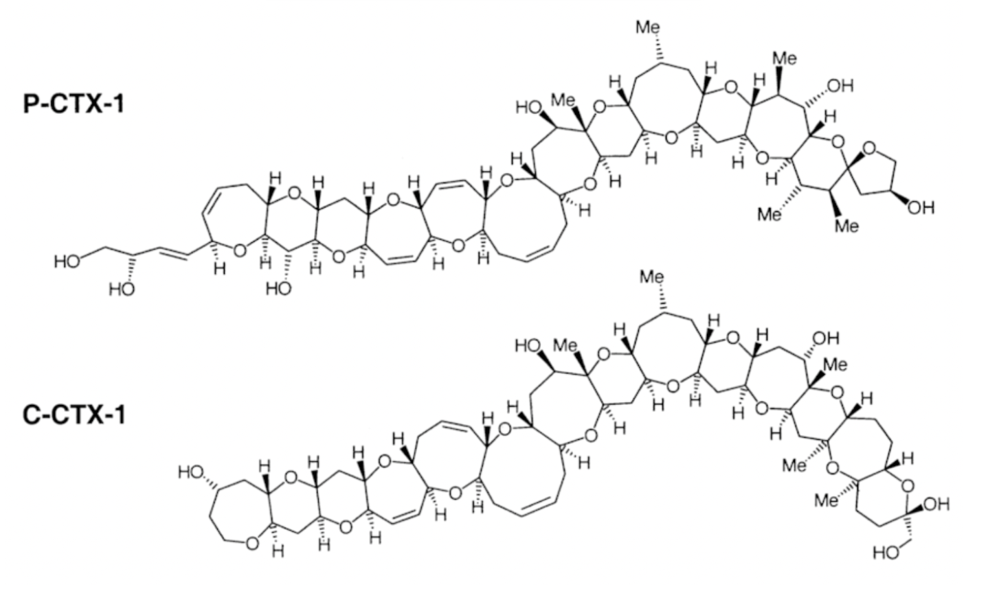 A molecule structure with hexagons and numbers

AI-generated content may be incorrect.